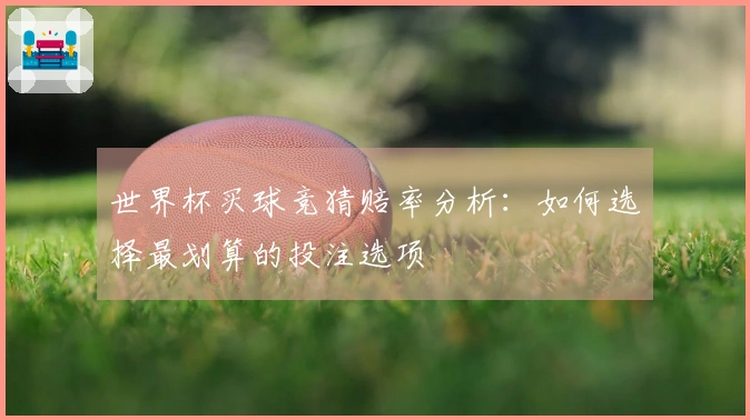 世界杯买球竞猜赔率分析：如何选择最划算的投注选项