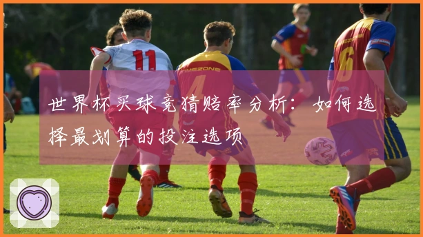 世界杯买球竞猜赔率分析：如何选择最划算的投注选项